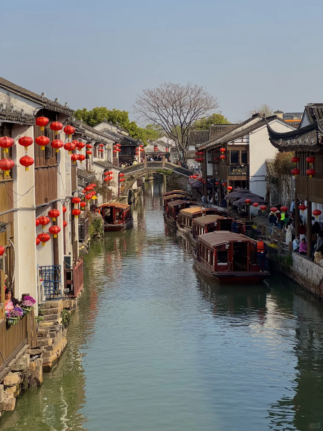 为了这17张照片 特意来了趟苏州