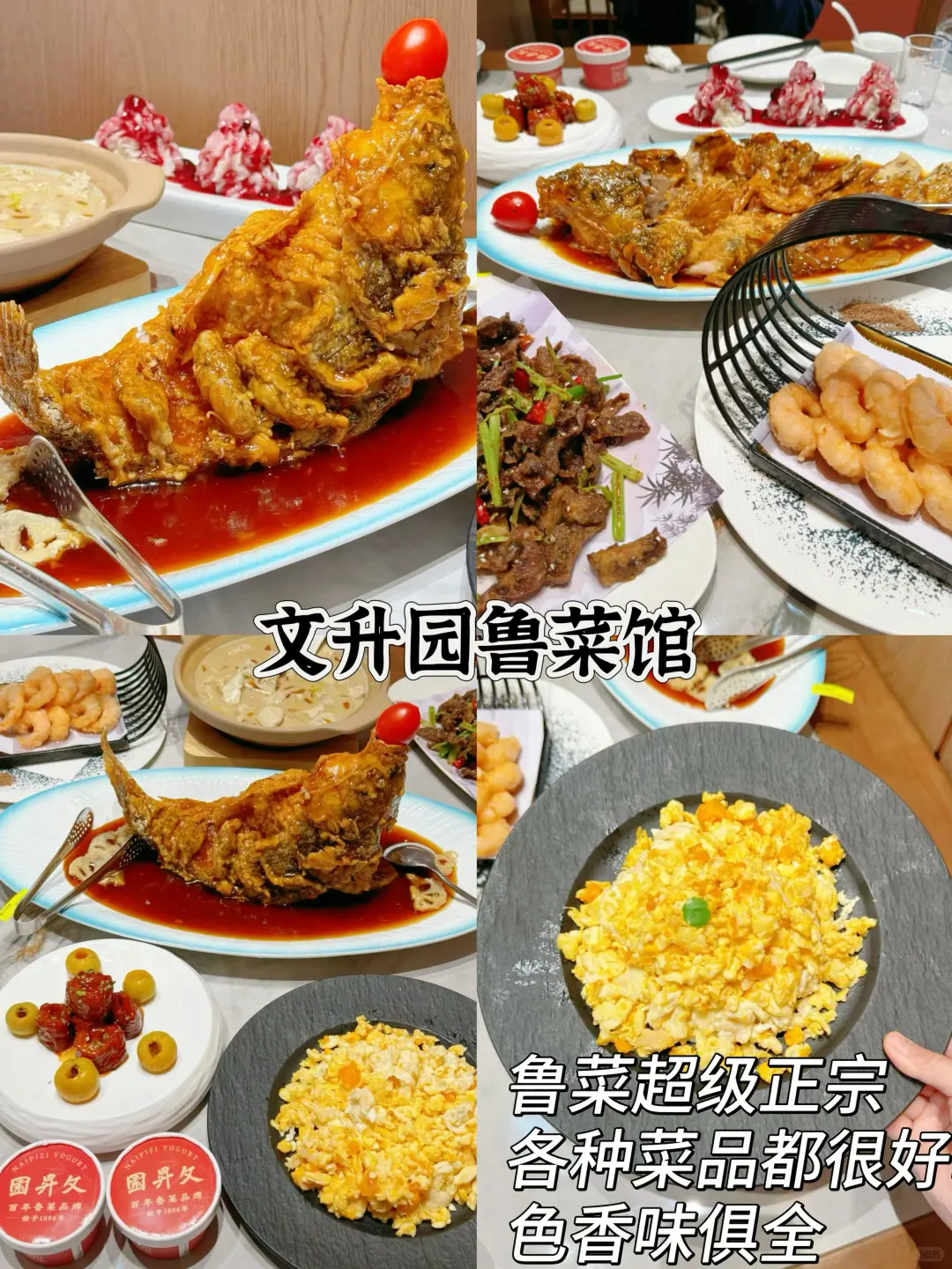 不想离开济南的理由又增加了…