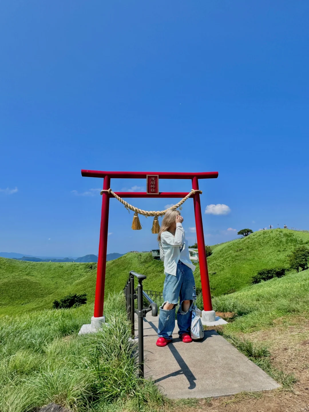 伊豆2日游攻略｜🚄东京1.5h 走进漫画世界🌳