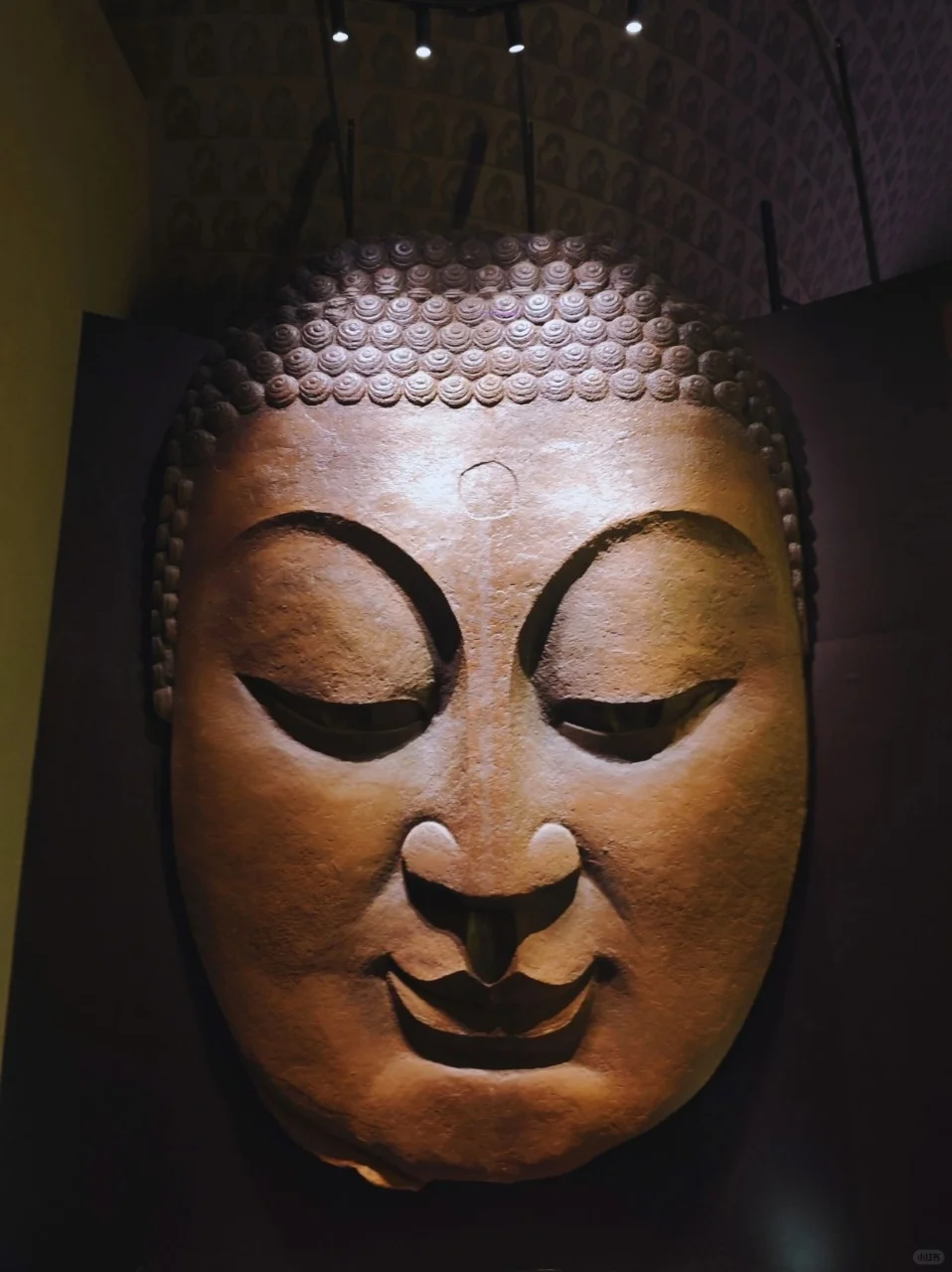 00后五一勇闯邯郸，值哭了😭