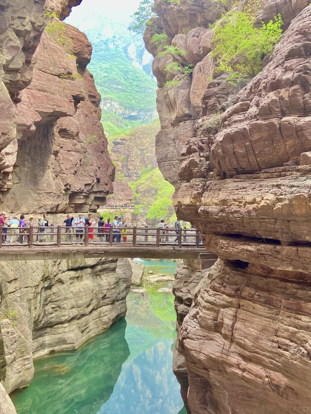 太放松了！沉浸式游玩云台山一整天