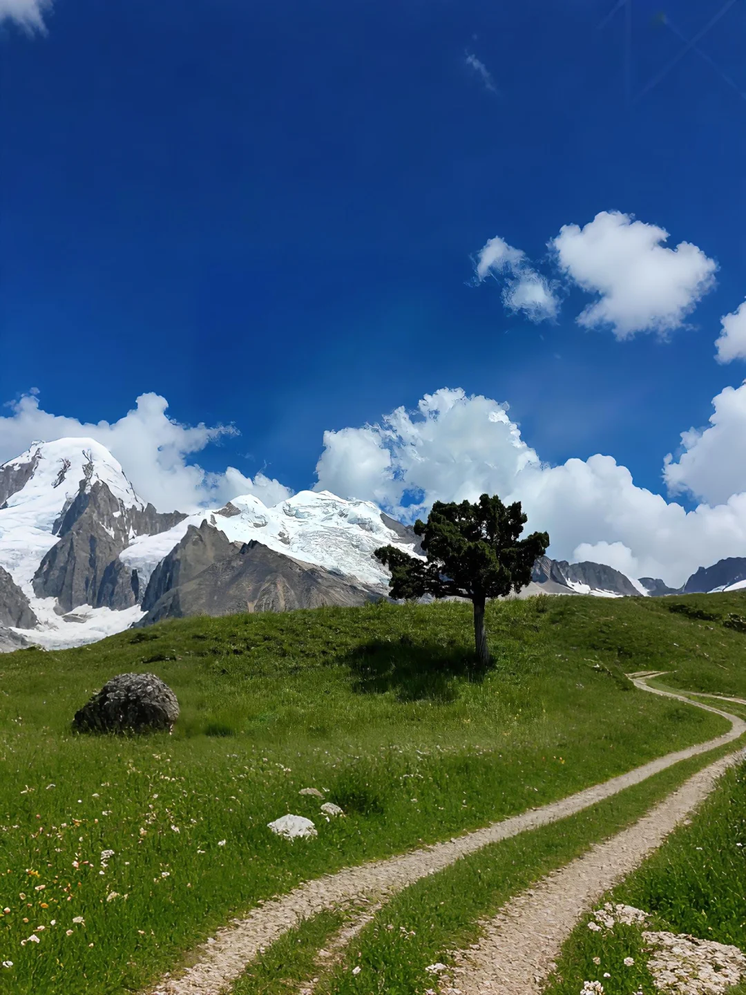不在瑞士...在川西🏔️！！💐5-8月超浪漫好拍