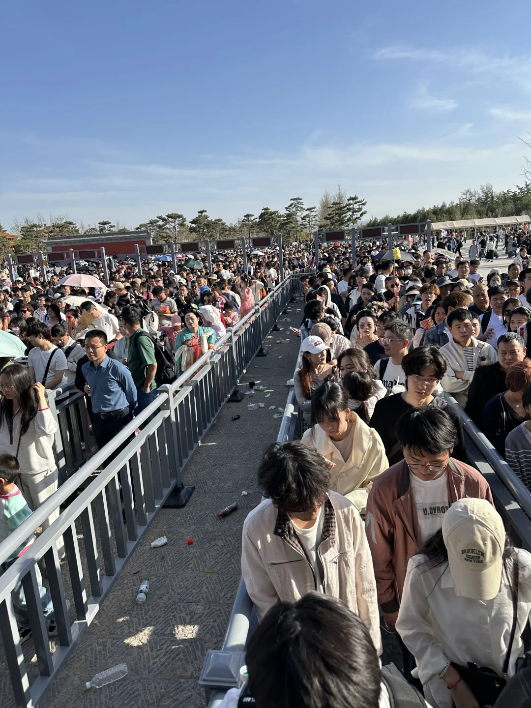 洛阳已回 全是人从众𠈌！