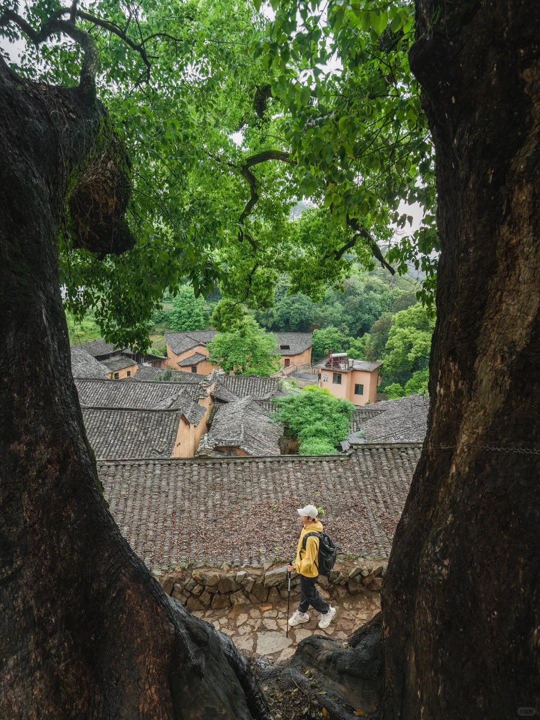 国家地理推荐的江南小城，到底有多美！！