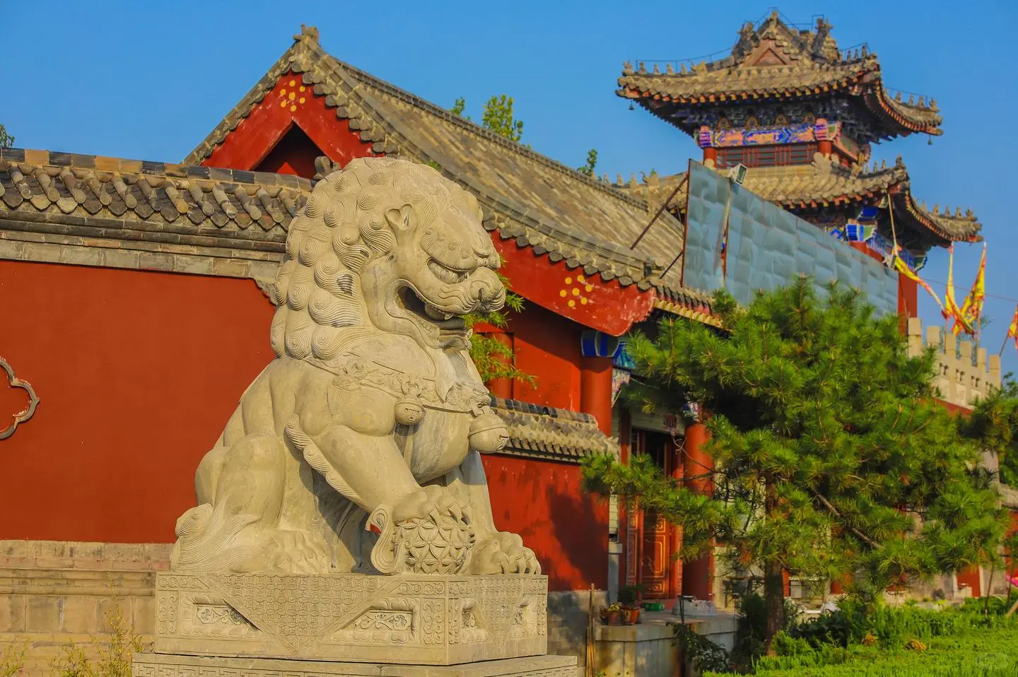 齐鲁风情之旅:感受山东的人文与自然之美