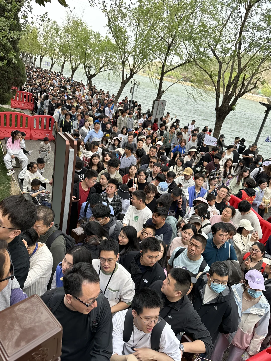 洛阳已回 全是人从众𠈌！