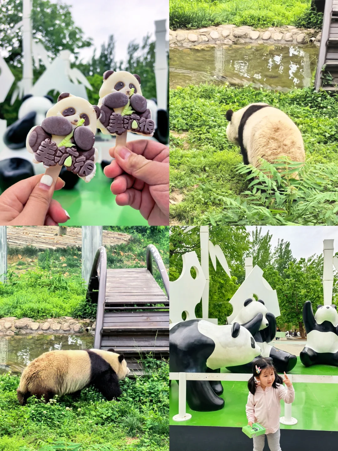 崩溃❗️秦岭野生动物园会惩罚不做攻略每个