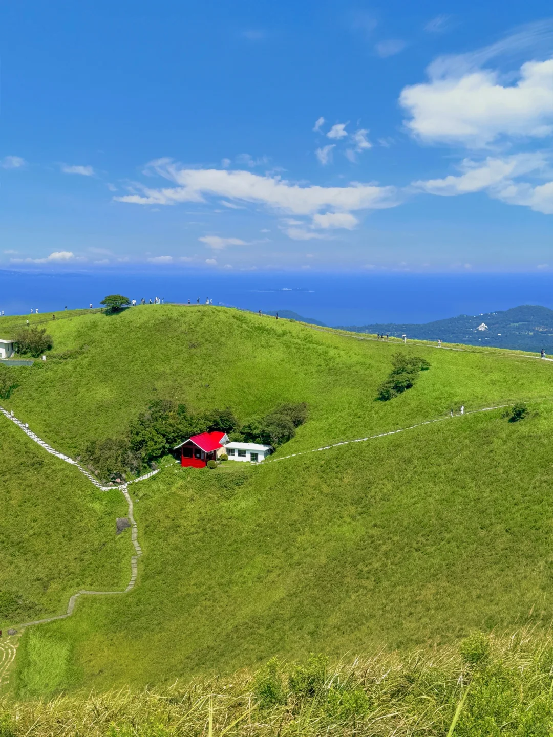 伊豆2日游攻略｜🚄东京1.5h 走进漫画世界🌳