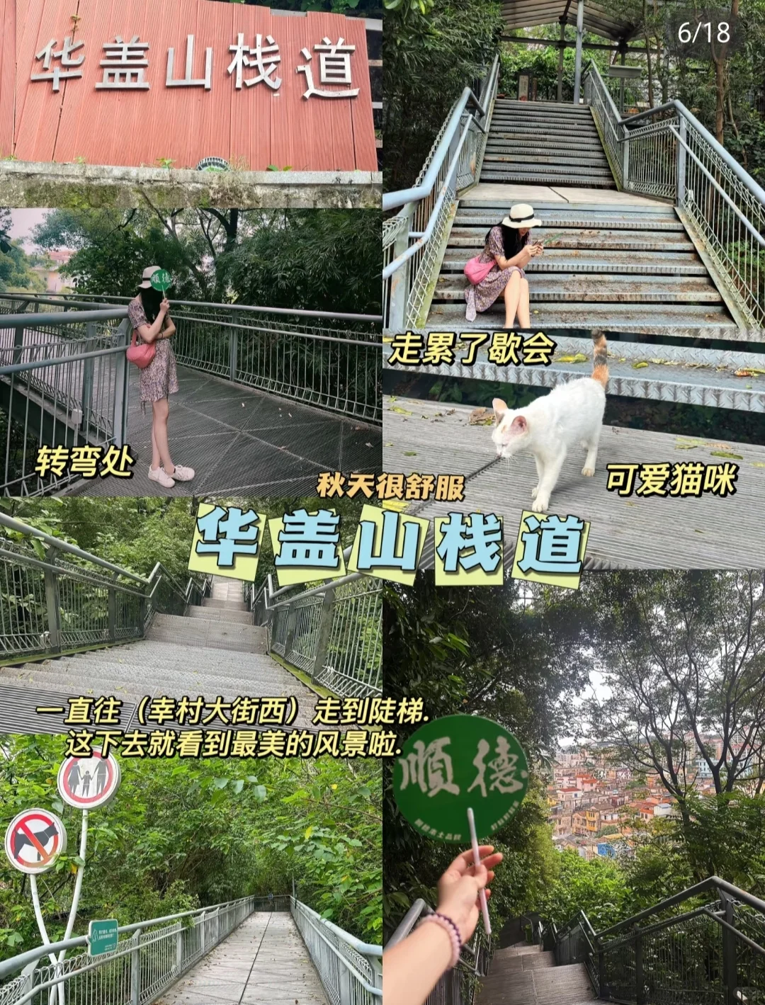 📍佛山五一旅游攻略| 顺德篇 |路线+景点