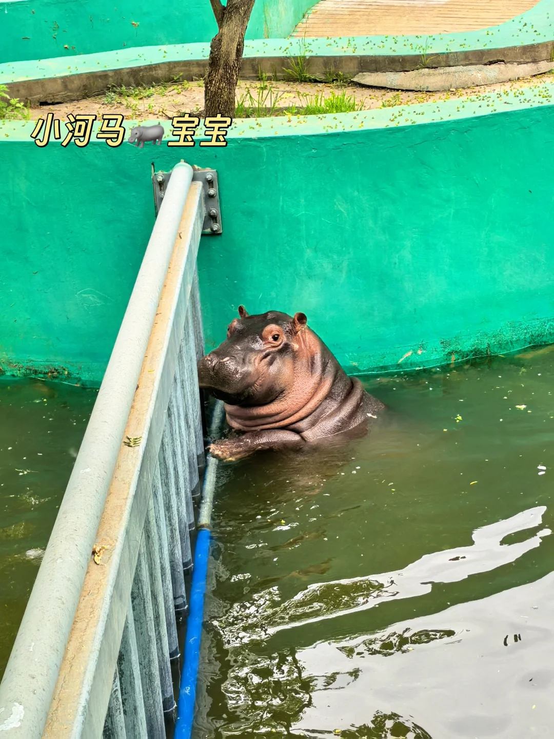 崩溃❗️秦岭野生动物园会惩罚不做攻略每个