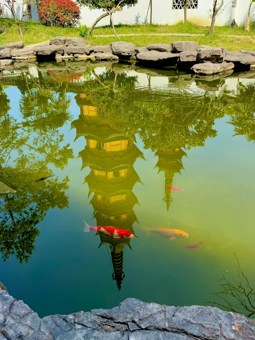 为了这17张照片 特意来了趟苏州