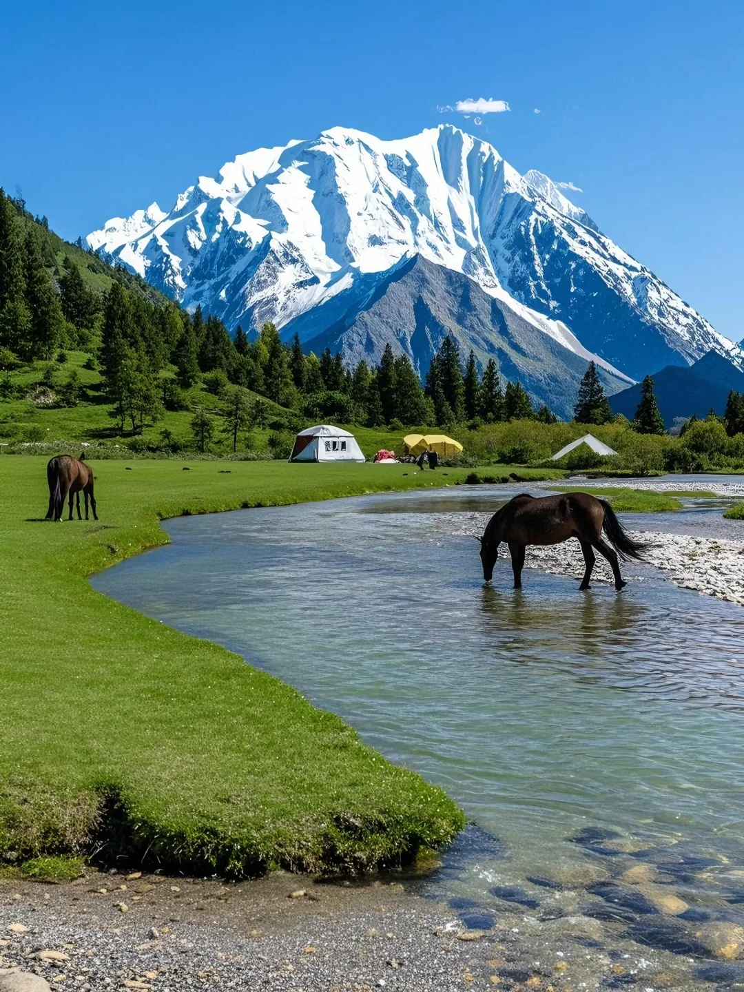 不在瑞士...在川西🏔️！！💐5-8月超浪漫好拍