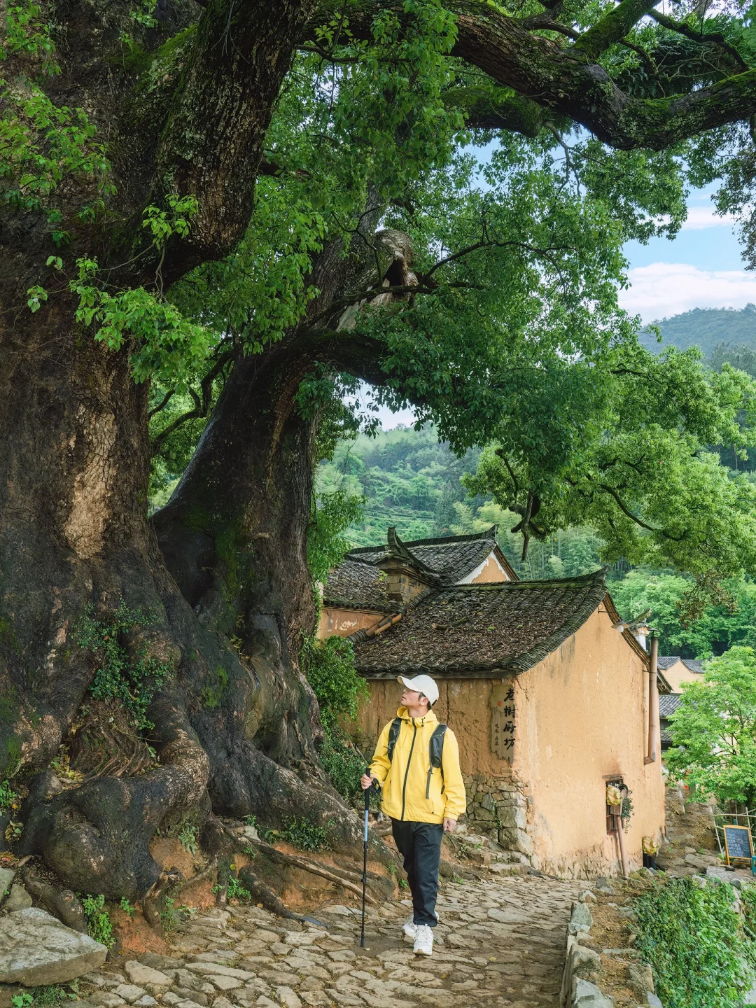 国家地理推荐的江南小城，到底有多美！！
