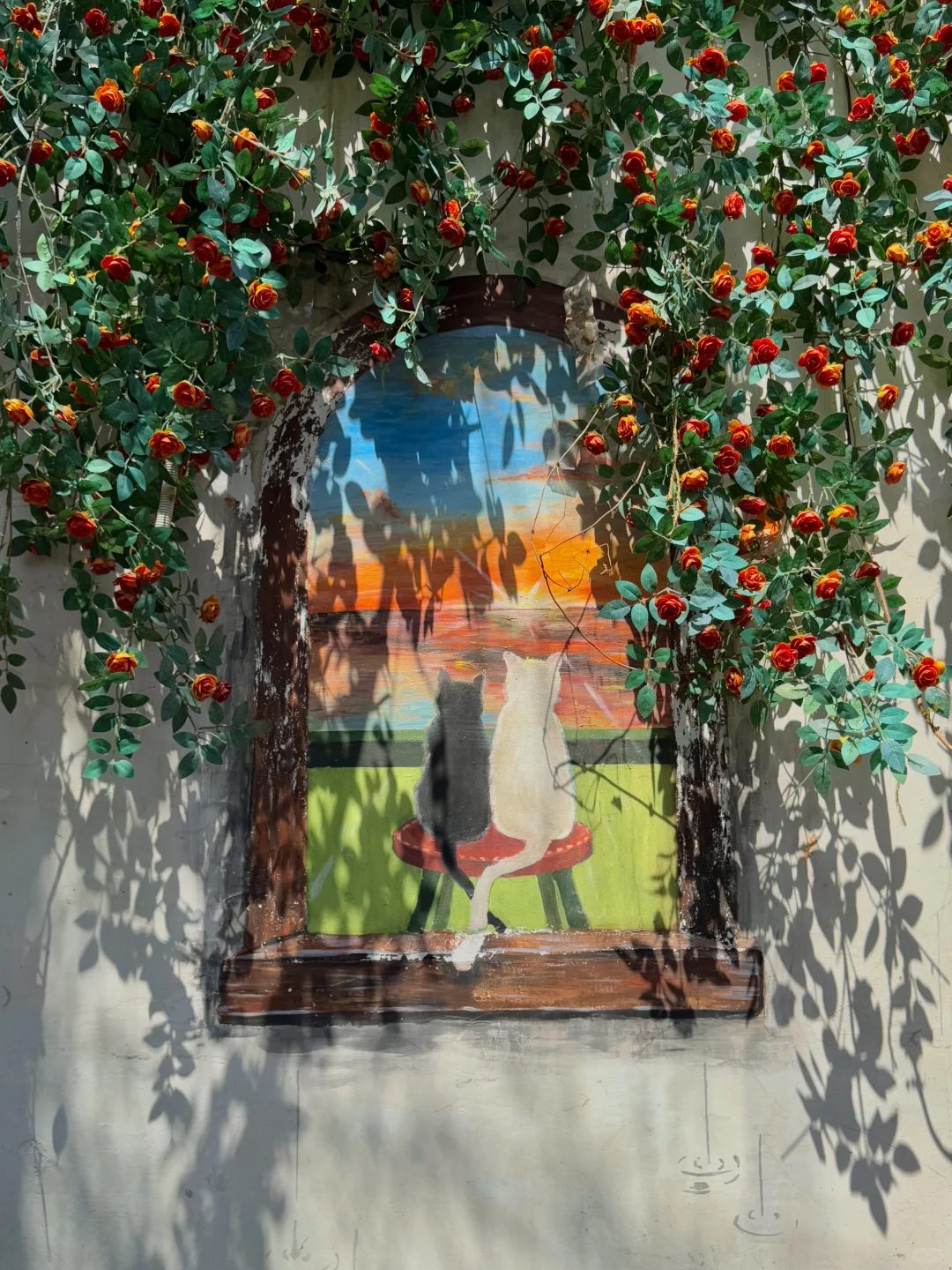 为了这17张照片 特意来了趟苏州