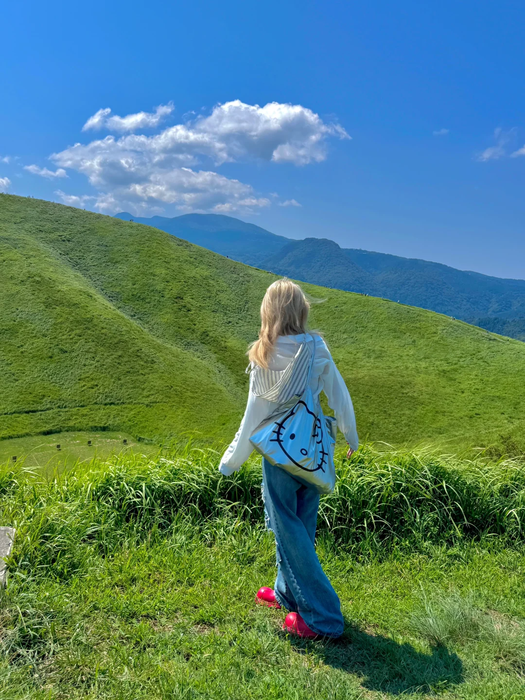 伊豆2日游攻略｜🚄东京1.5h 走进漫画世界🌳