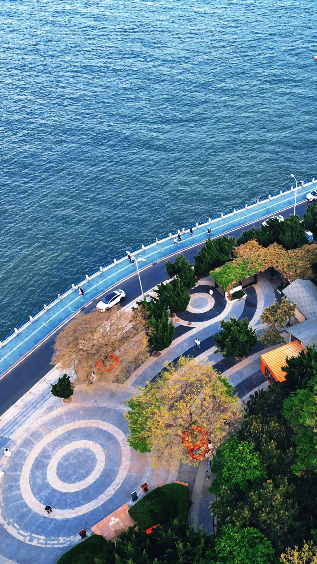 别再乱逛了！独一无二青岛旅游攻略在此✨