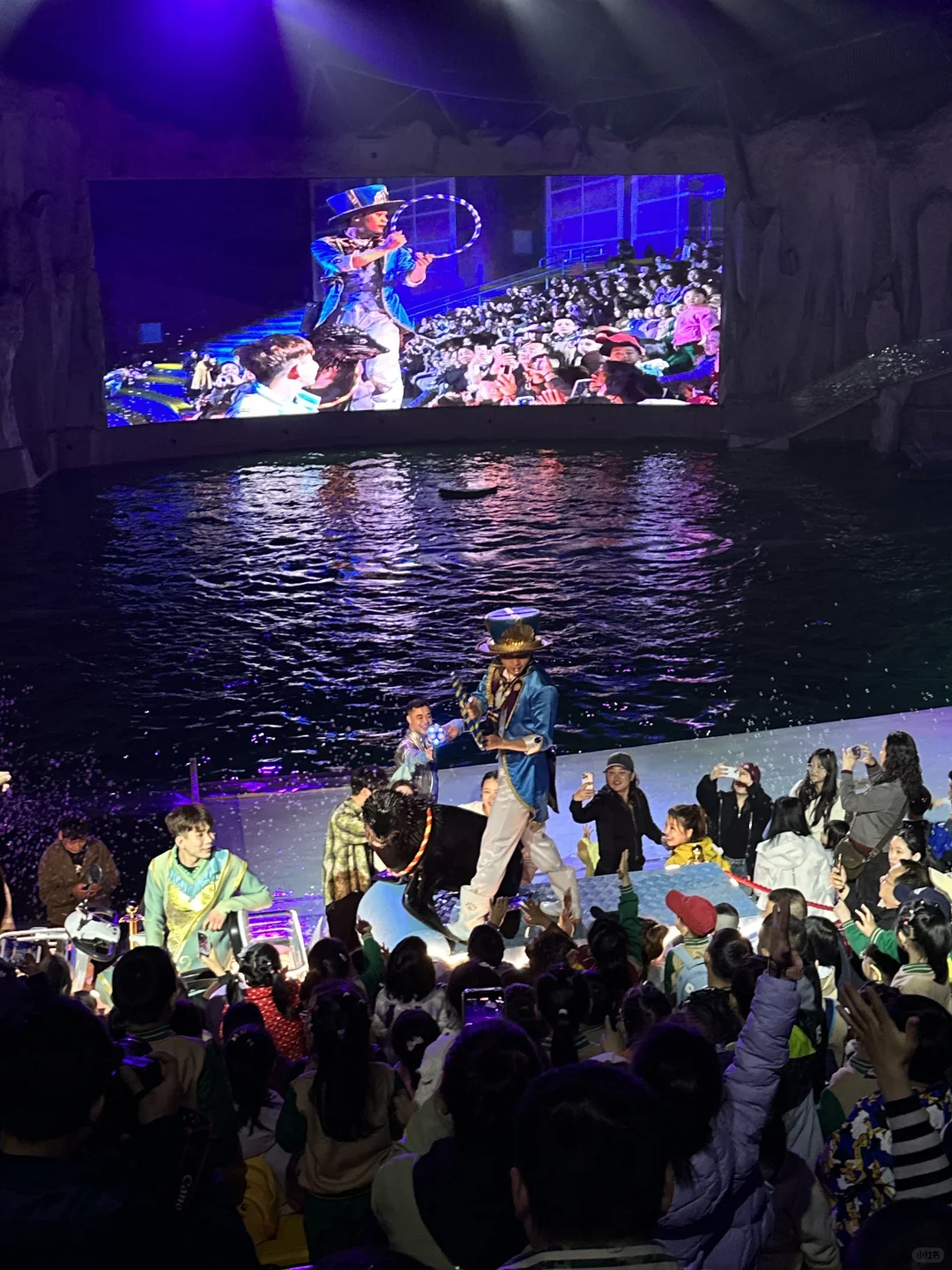 🌊哈尔滨极地公园· 全天候畅玩指南🐋