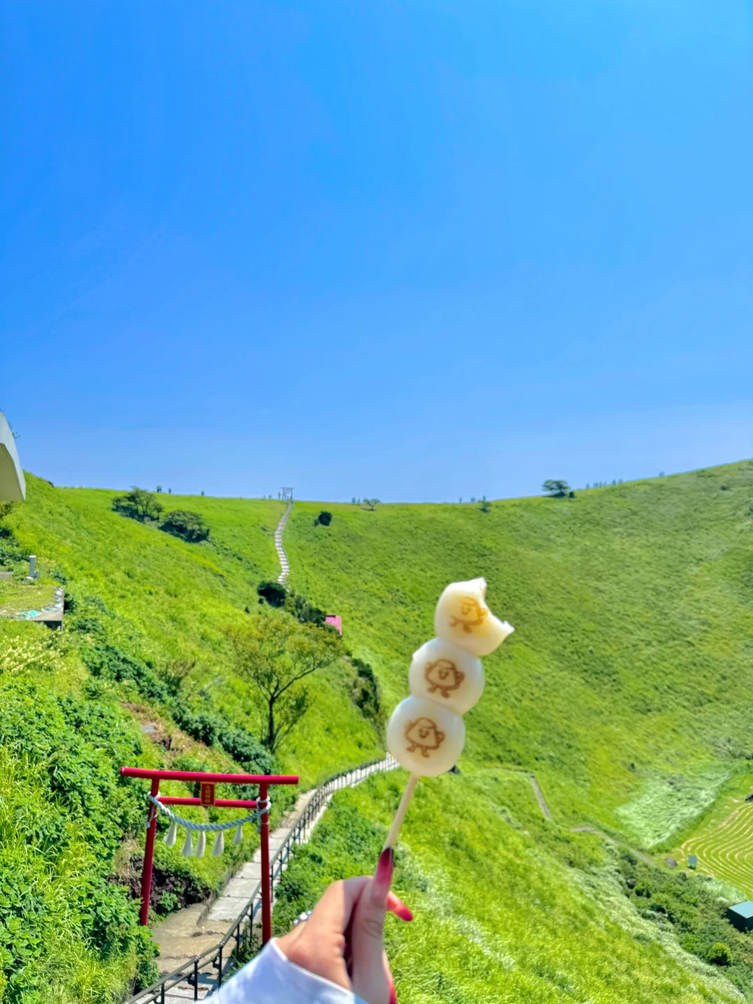 伊豆2日游攻略｜🚄东京1.5h 走进漫画世界🌳