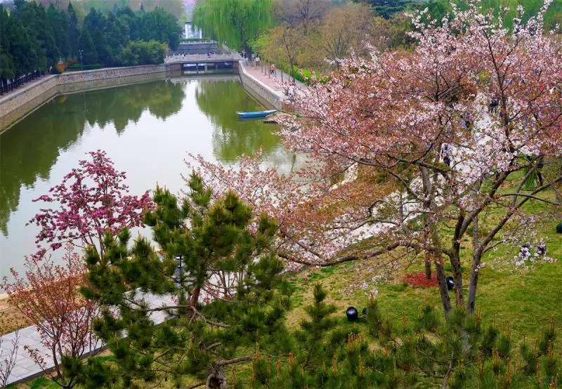 丛台公园：千年城中的历史镜像