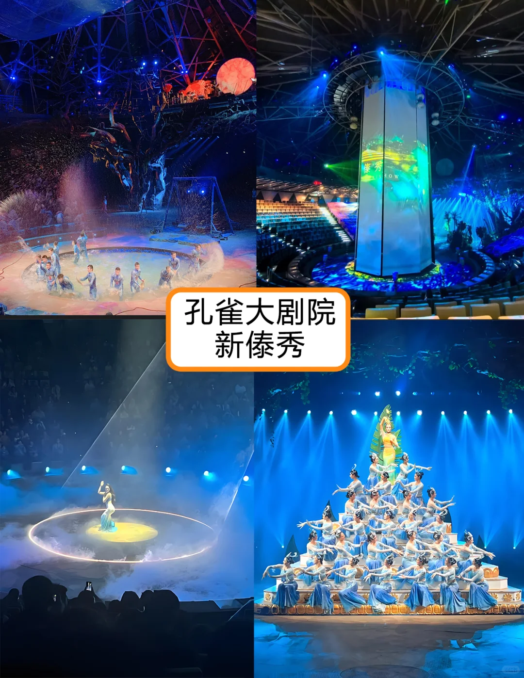 西双版纳旅游必看 | 省钱游玩清单🧾 宝子