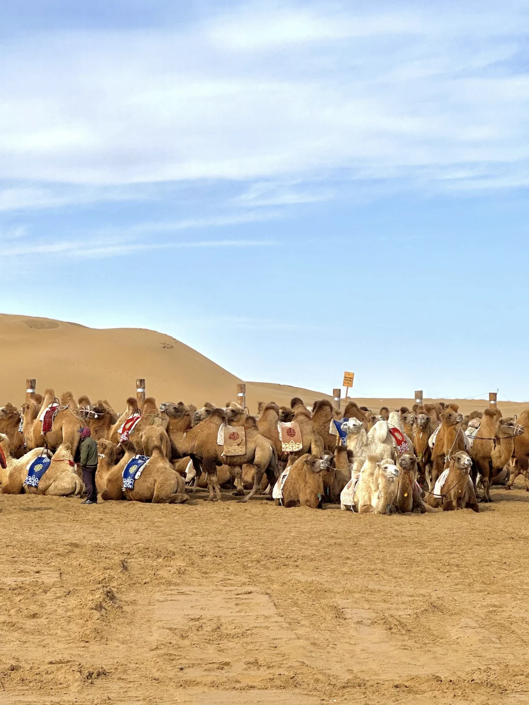 没出国！内蒙古响沙湾已经美到next level…😭