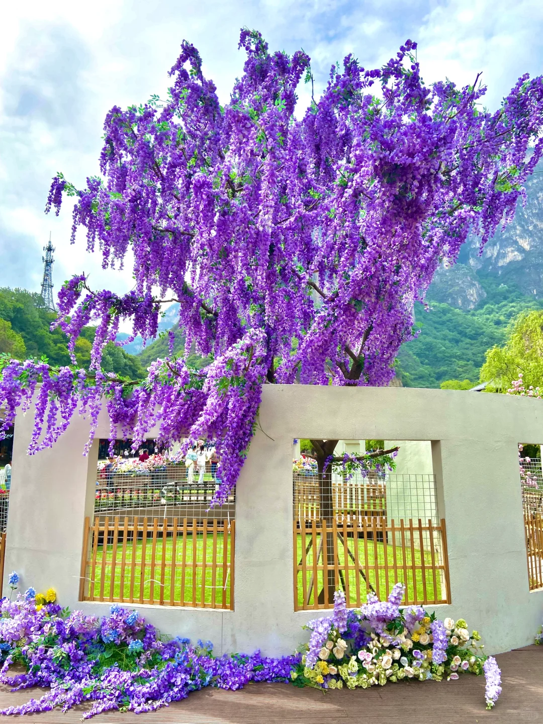 太放松了！沉浸式游玩云台山一整天