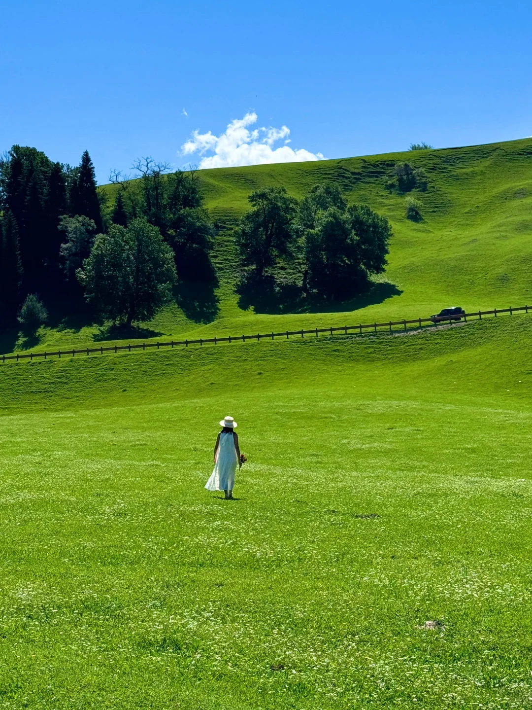 生命就应该浪费在这样的地方～🌳