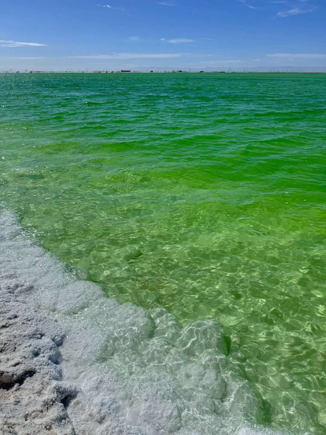 和男朋友报西北小团已回！说说感受和体验！