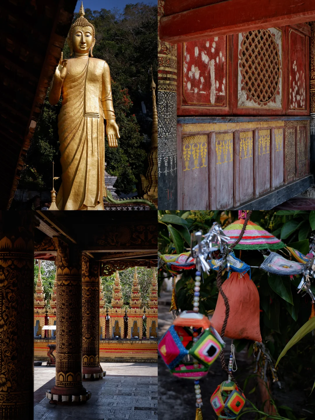 云南普洱｜这条云南小众旅行路线超安逸🧳