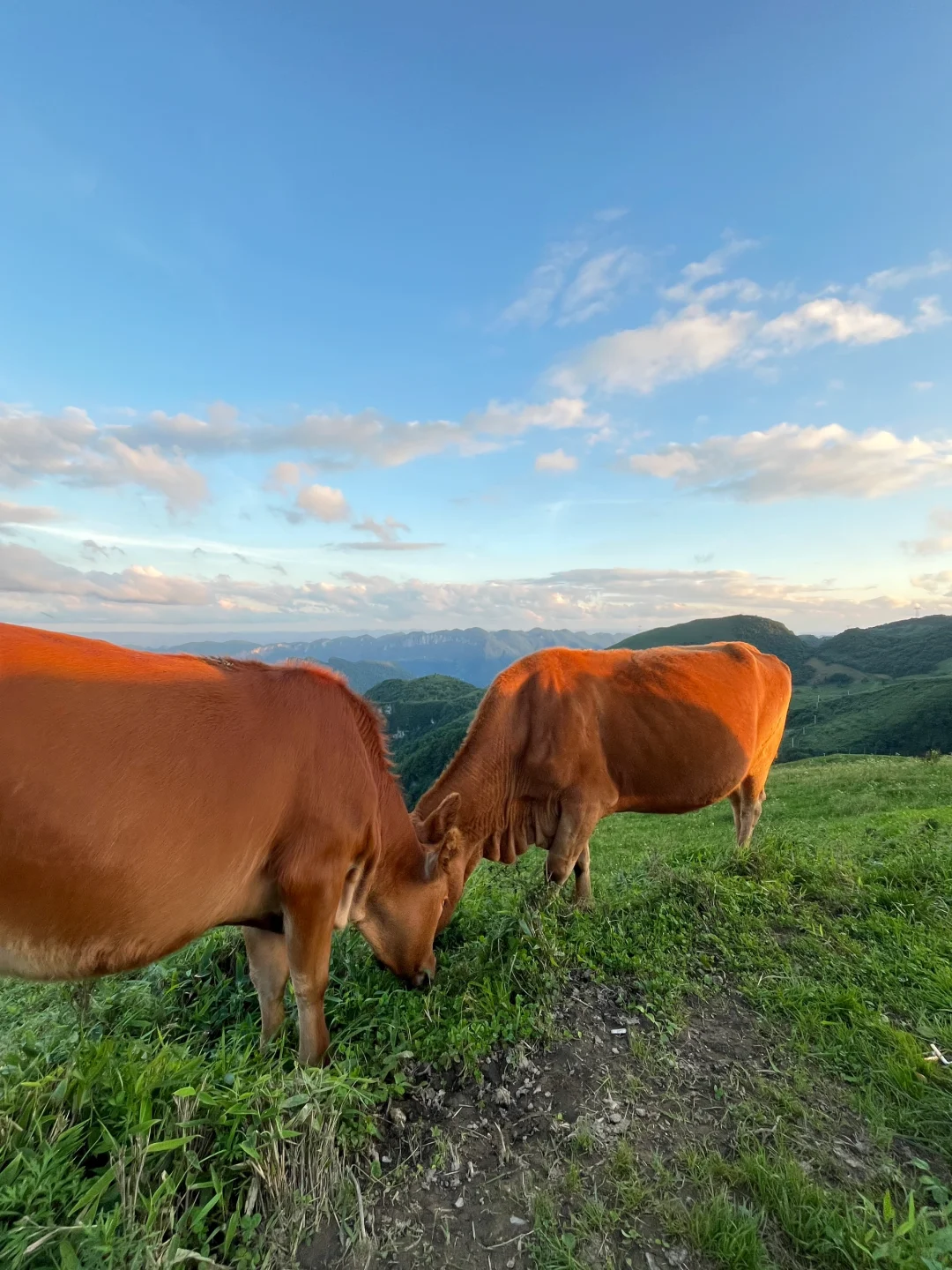 来一场悬崖边上的聚会