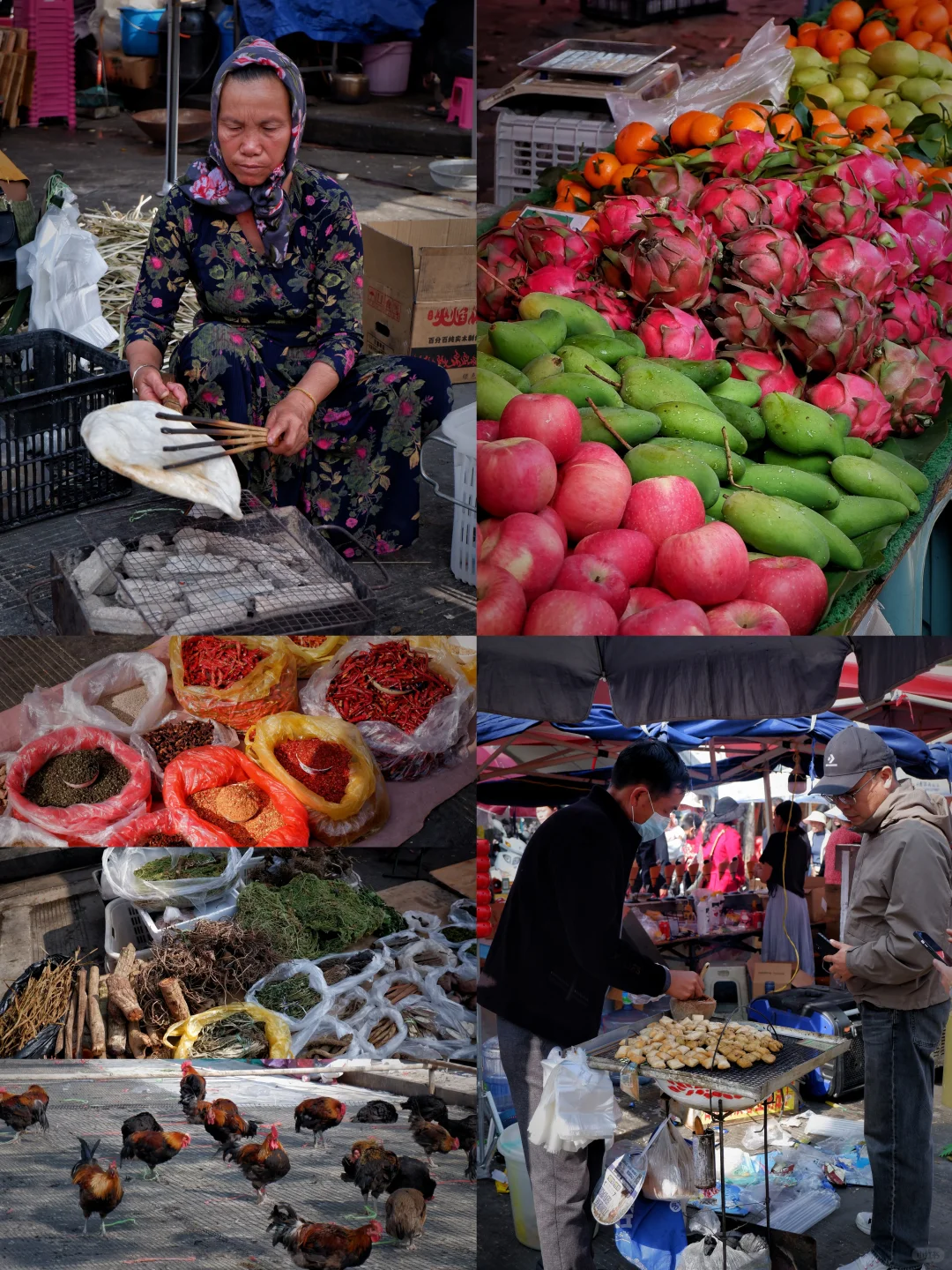 云南普洱｜这条云南小众旅行路线超安逸🧳