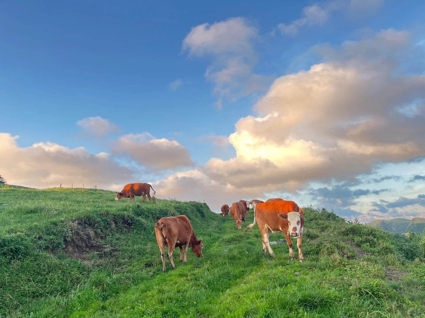 来一场悬崖边上的聚会