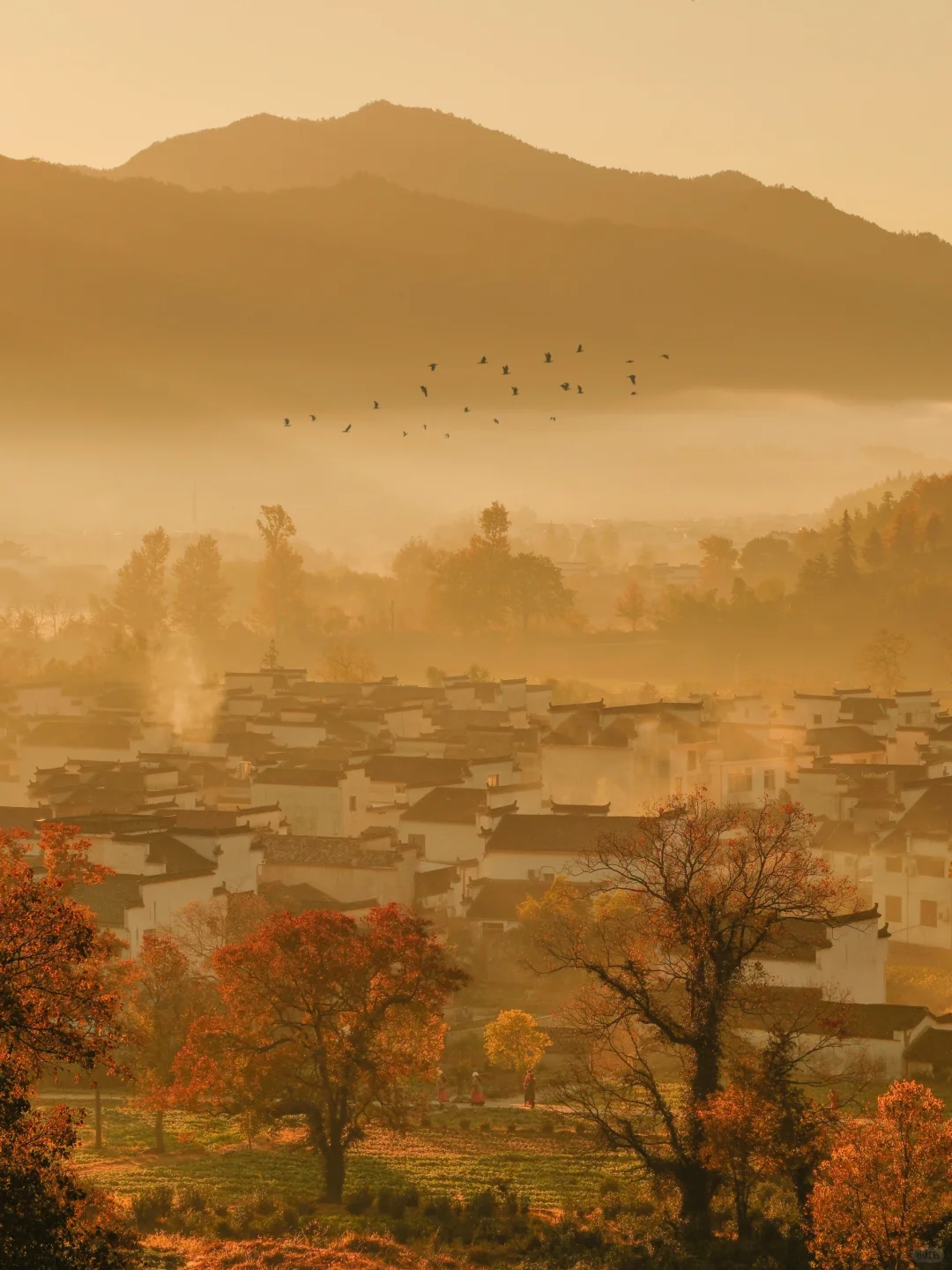 《国家地理》没骗我‼️皖南的秋天真的美绝了😭