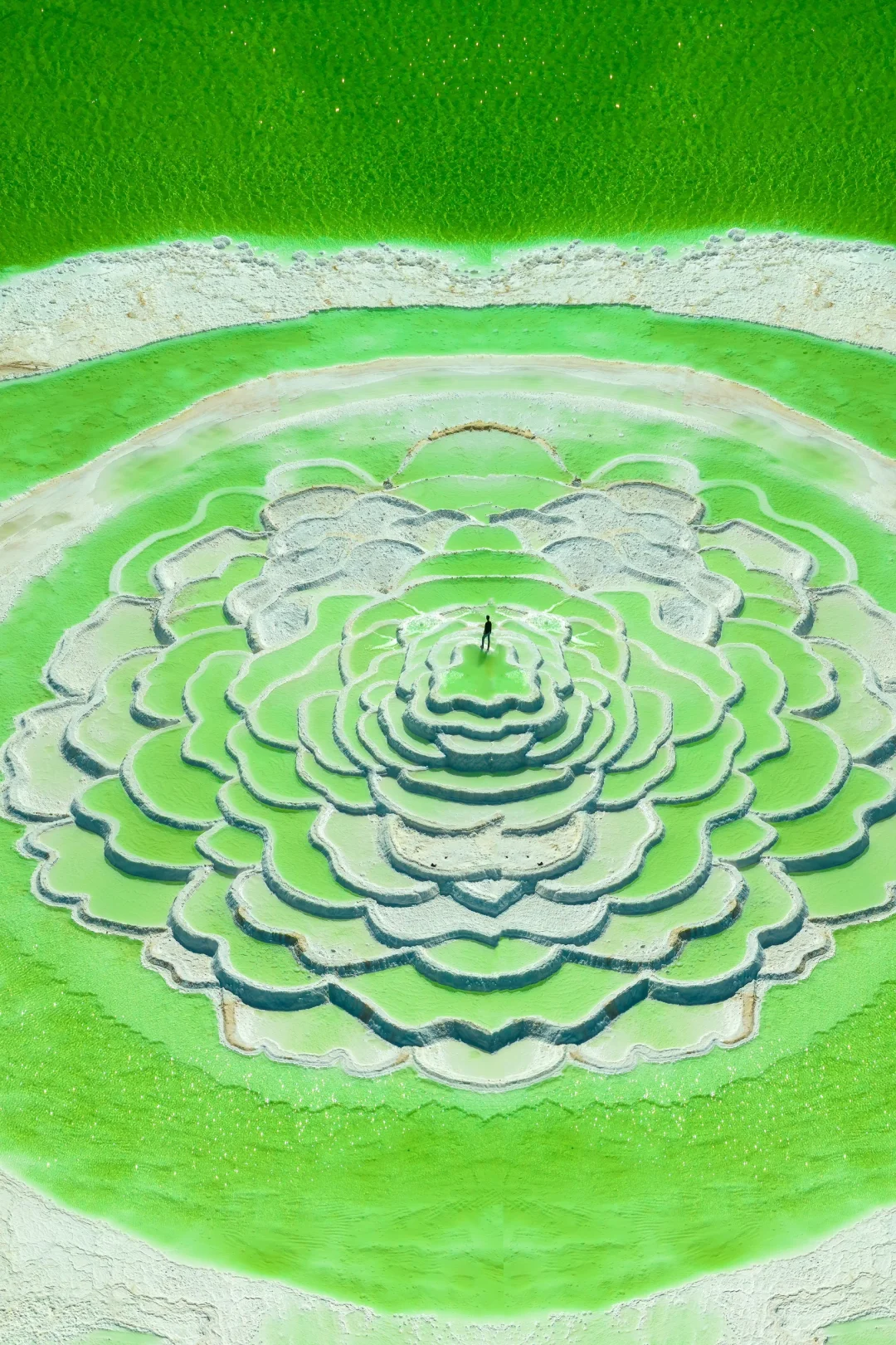 为了这组照片…西北自驾了4000公里‼️值得么