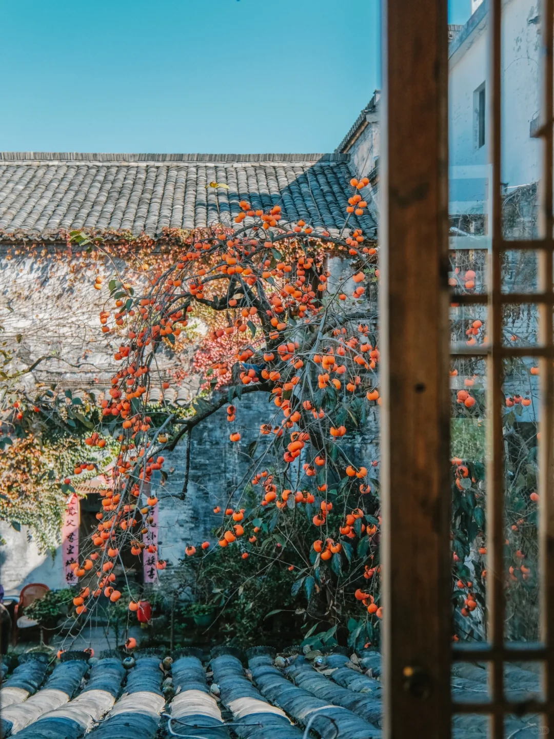 《国家地理》没骗我‼️皖南的秋天真的美绝了😭