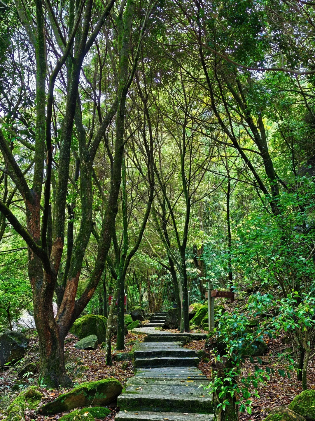 泉州“小七孔”｜闽南秘境｜逃离城市计划