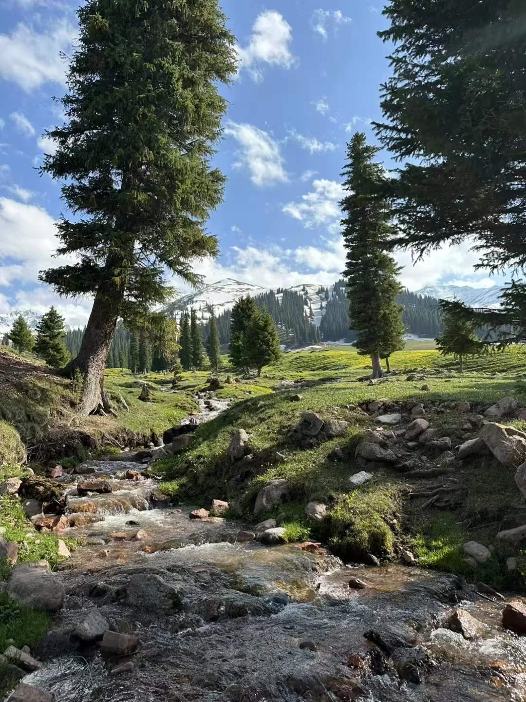 爱旅游 爱分享🌲