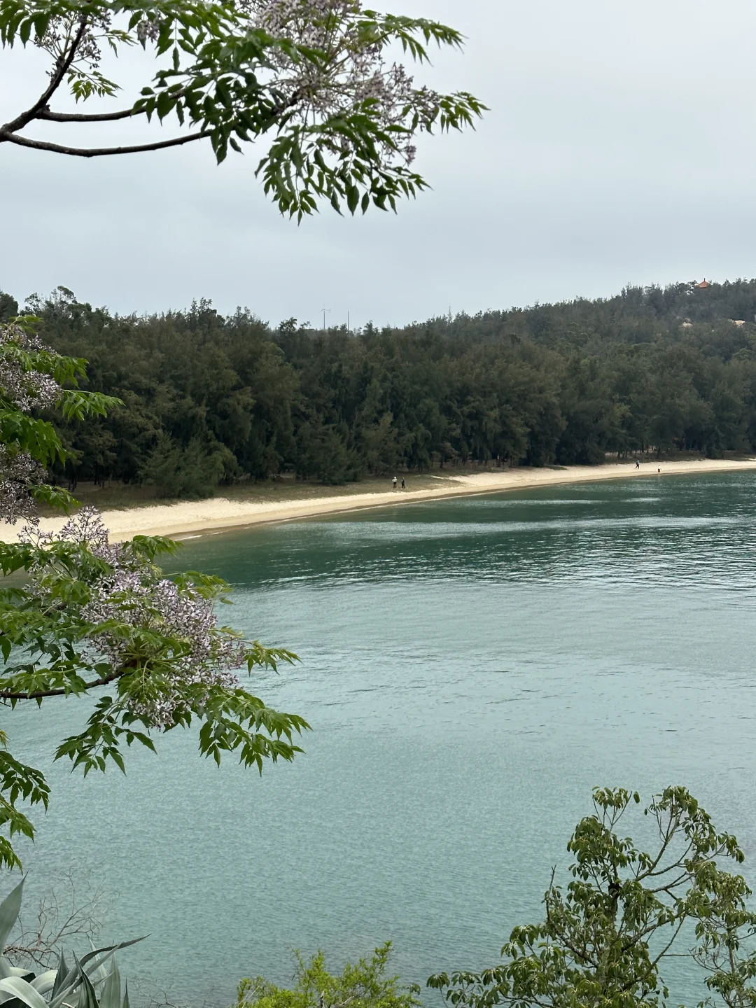 迄今为止…最喜欢的海岛小城出现了！不输国外