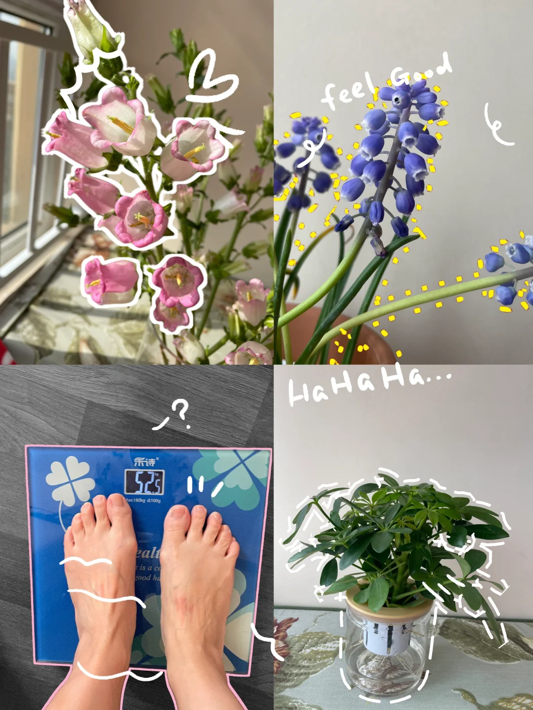 旅游攻略，翻了个寂寞