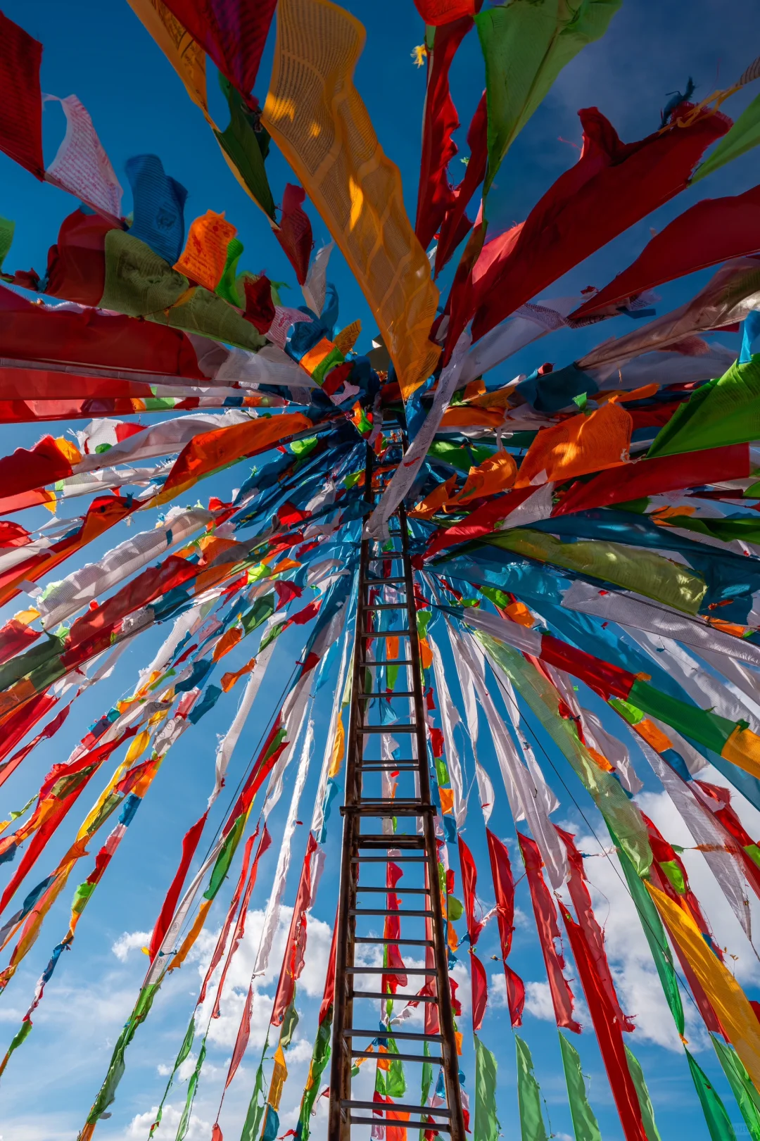 为了这组照片…西北自驾了4000公里‼️值得么