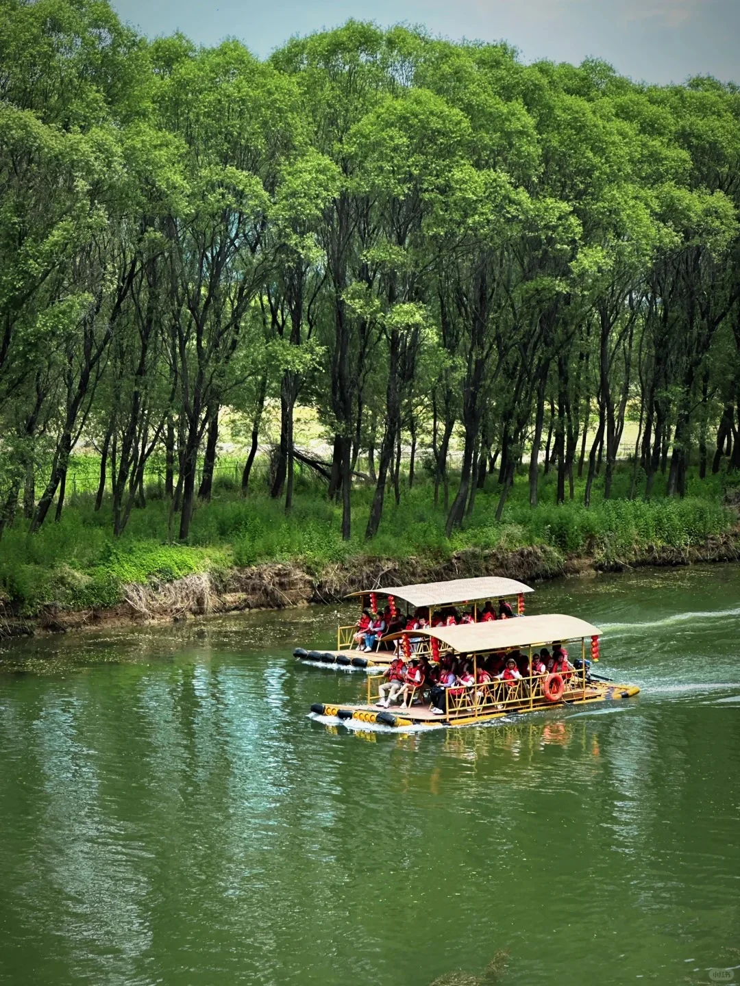 山西,就这么水灵灵✨地出圈了?