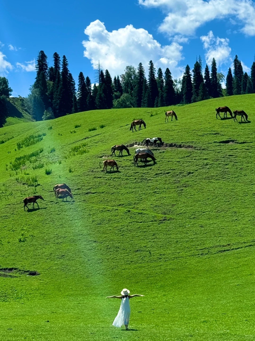 生命就应该浪费在这样的地方～🌳