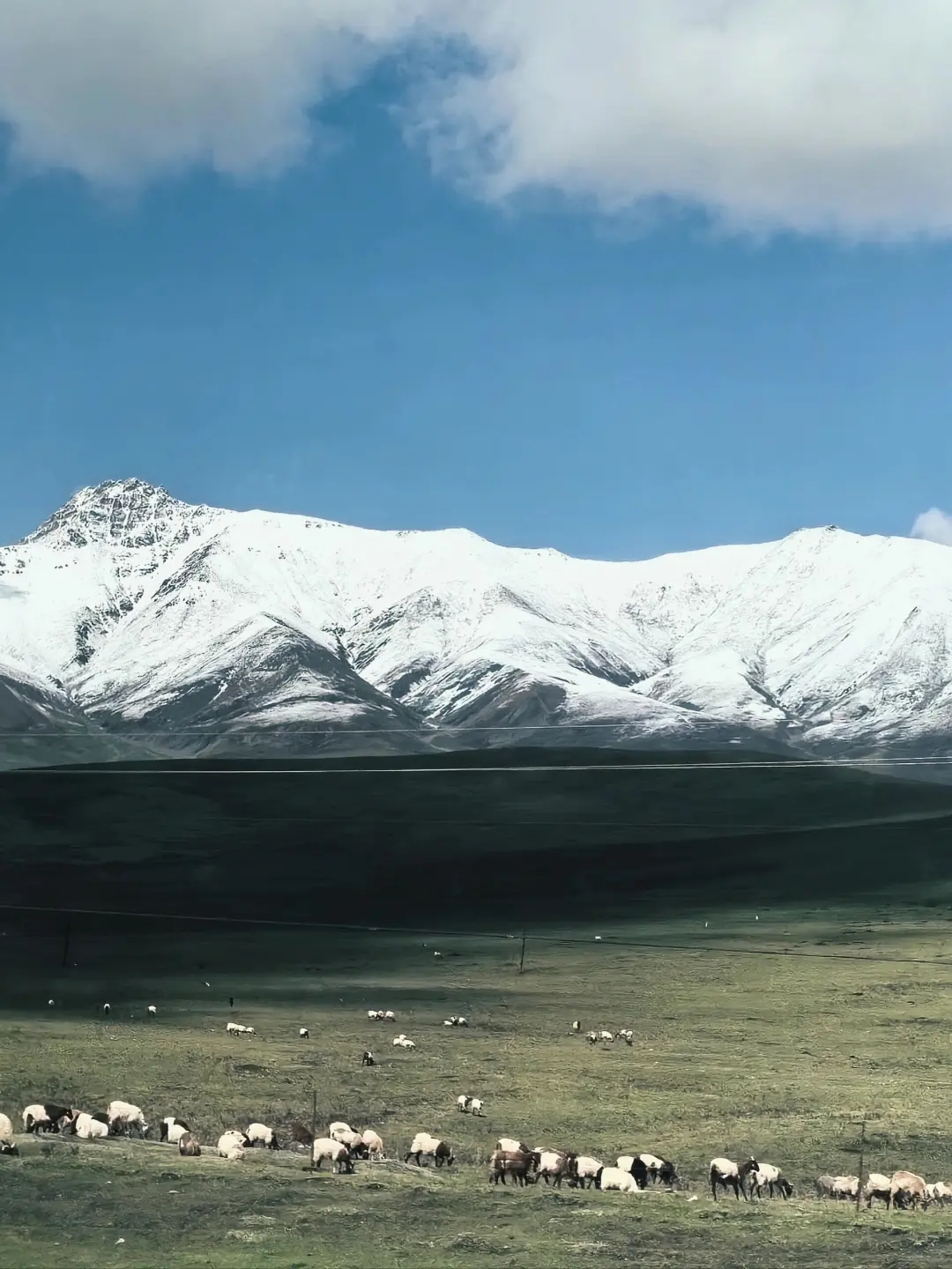 五一去青甘 | 这份攻略直接抄