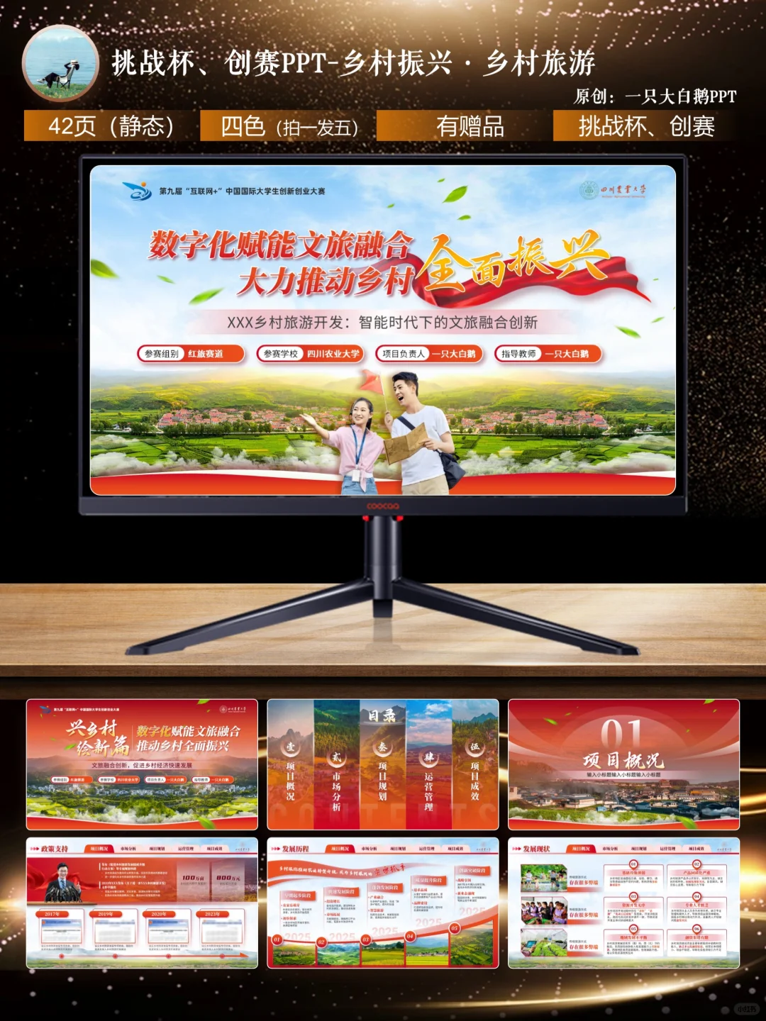 42页挑战杯必备模板-助力乡村振兴·乡村旅游