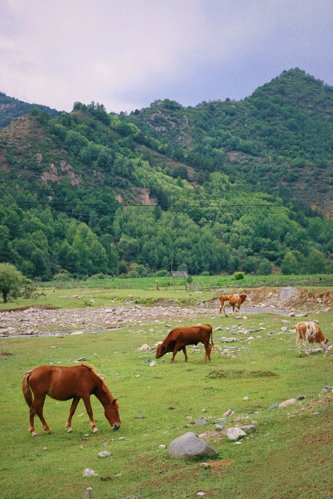 接下来的山西,一定会刷新你的想象…
