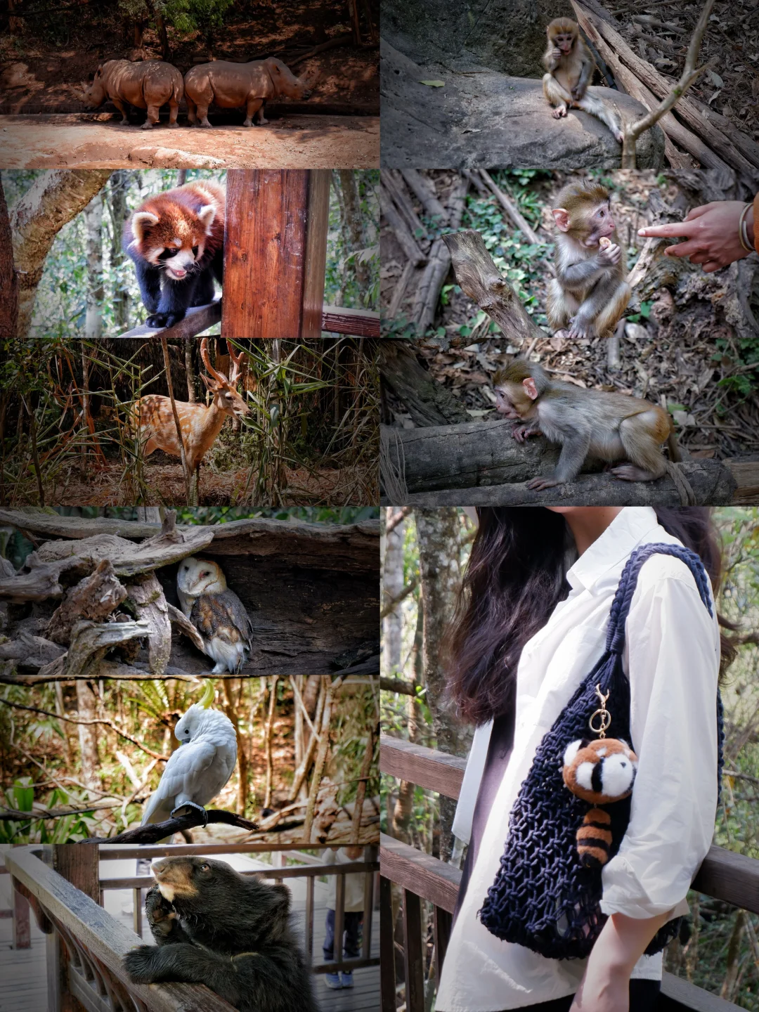 云南普洱｜这条云南小众旅行路线超安逸🧳