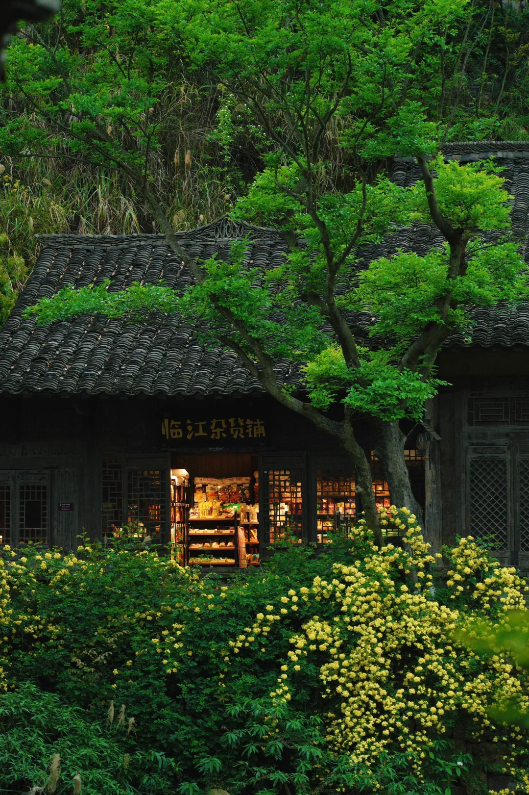 高铁直达！！贵州被严重低估的人间避世仙境😭