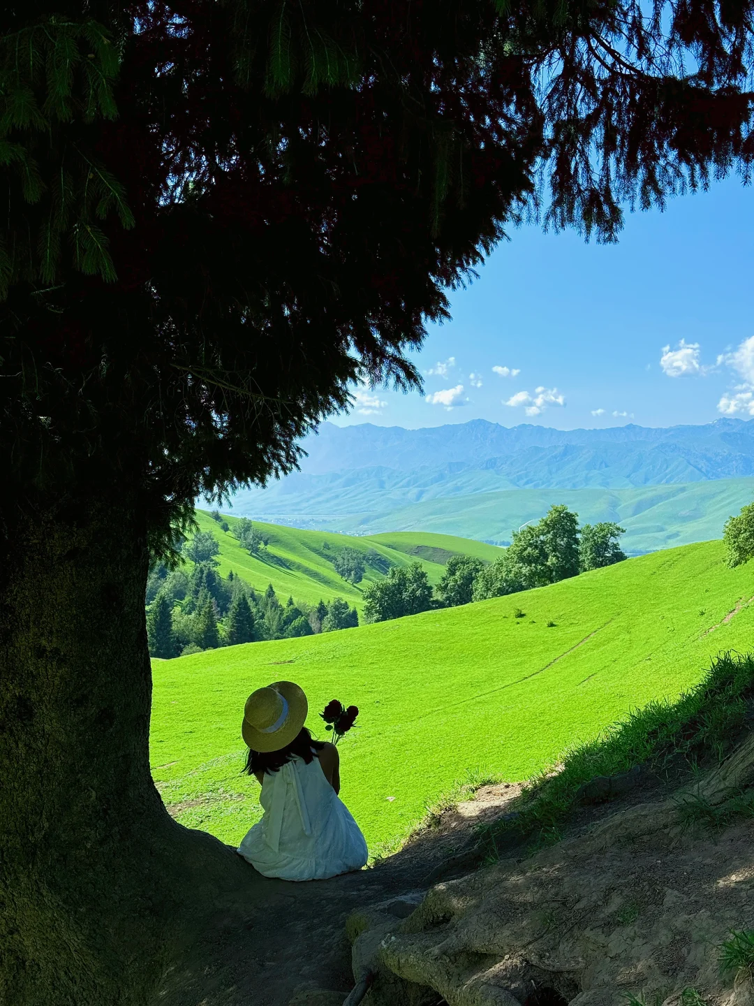 生命就应该浪费在这样的地方～🌳