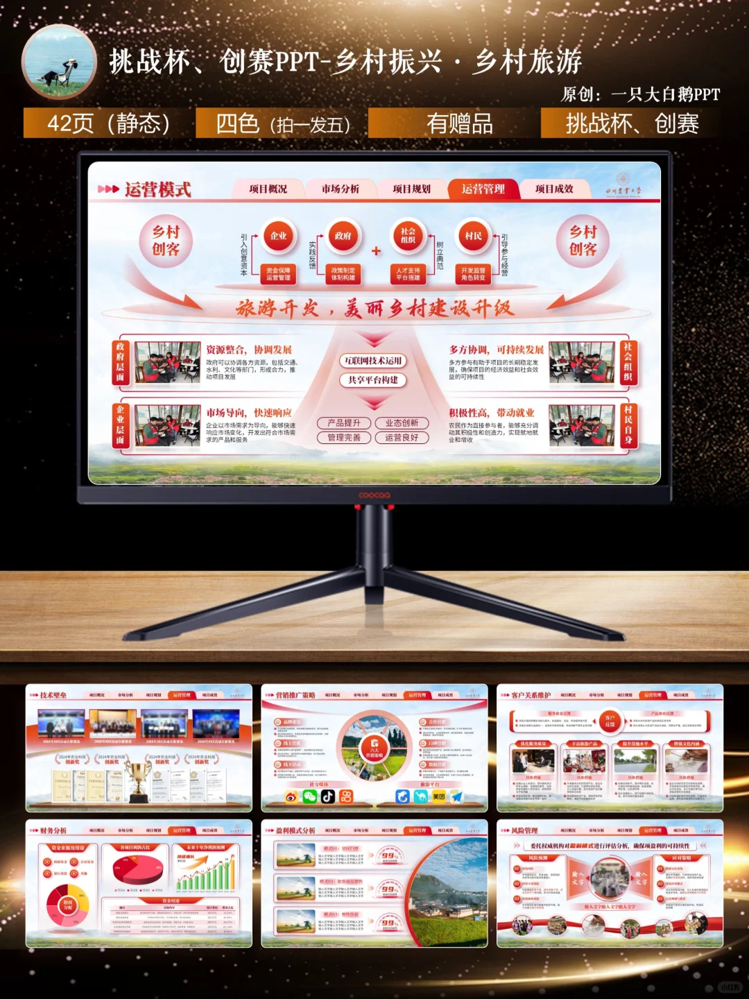 42页挑战杯必备模板-助力乡村振兴·乡村旅游