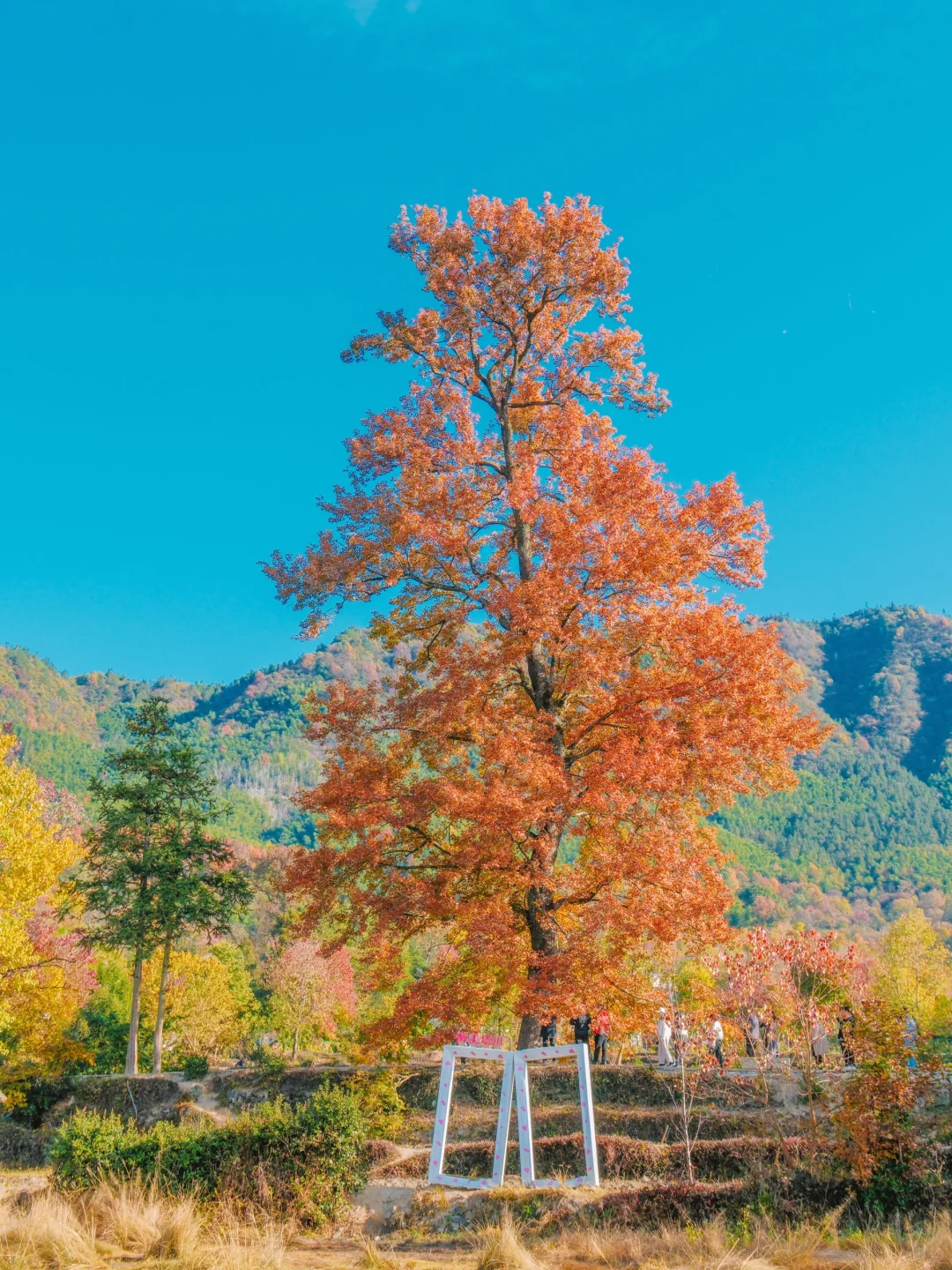 《国家地理》没骗我‼️皖南的秋天真的美绝了😭